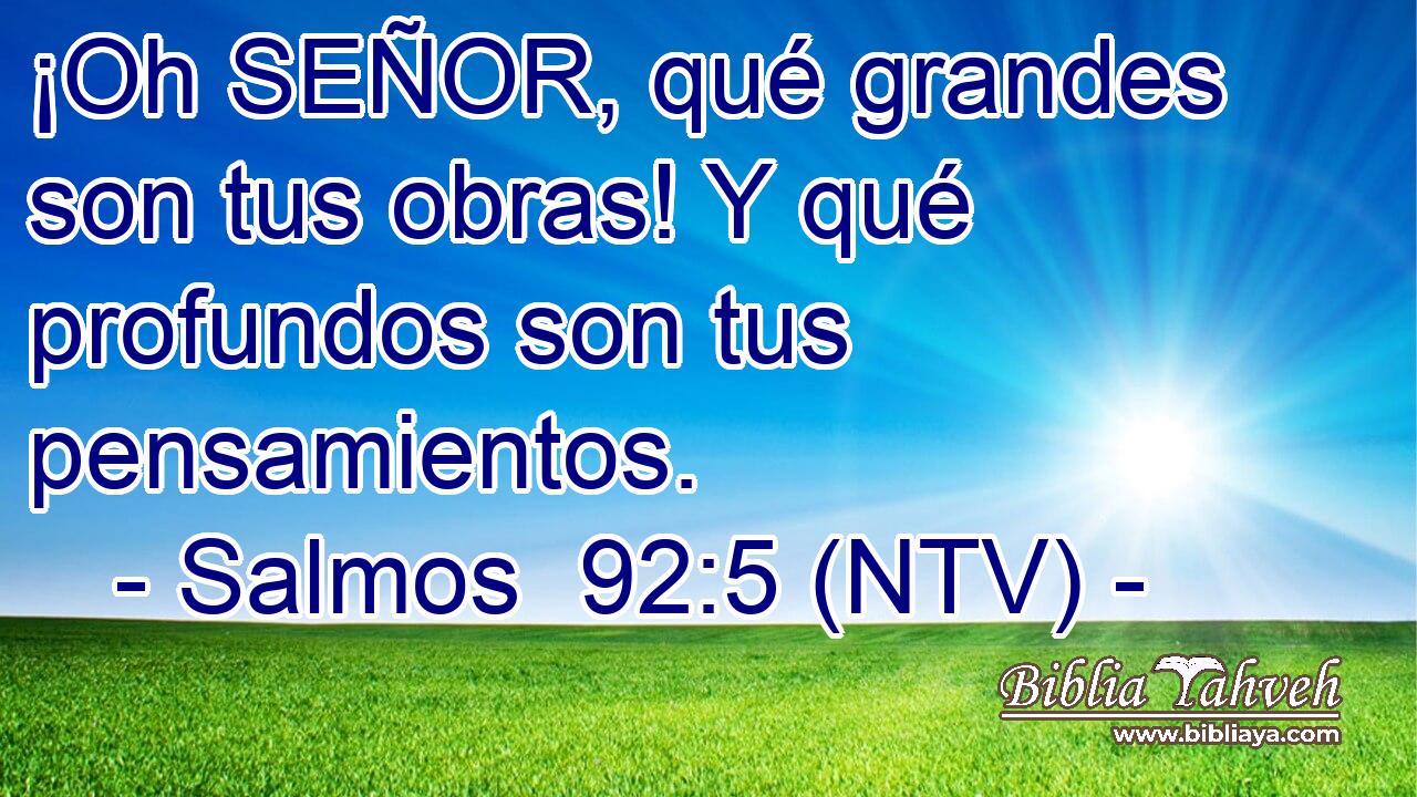 ¡Oh SEÑOR, qué grandes son tus obras! Y qué profundos son tus pensamientos.