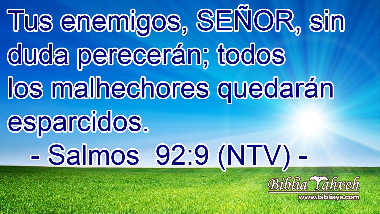 Tus enemigos, SEÑOR, sin duda perecerán; todos los malhechores quedarán esparcidos.
