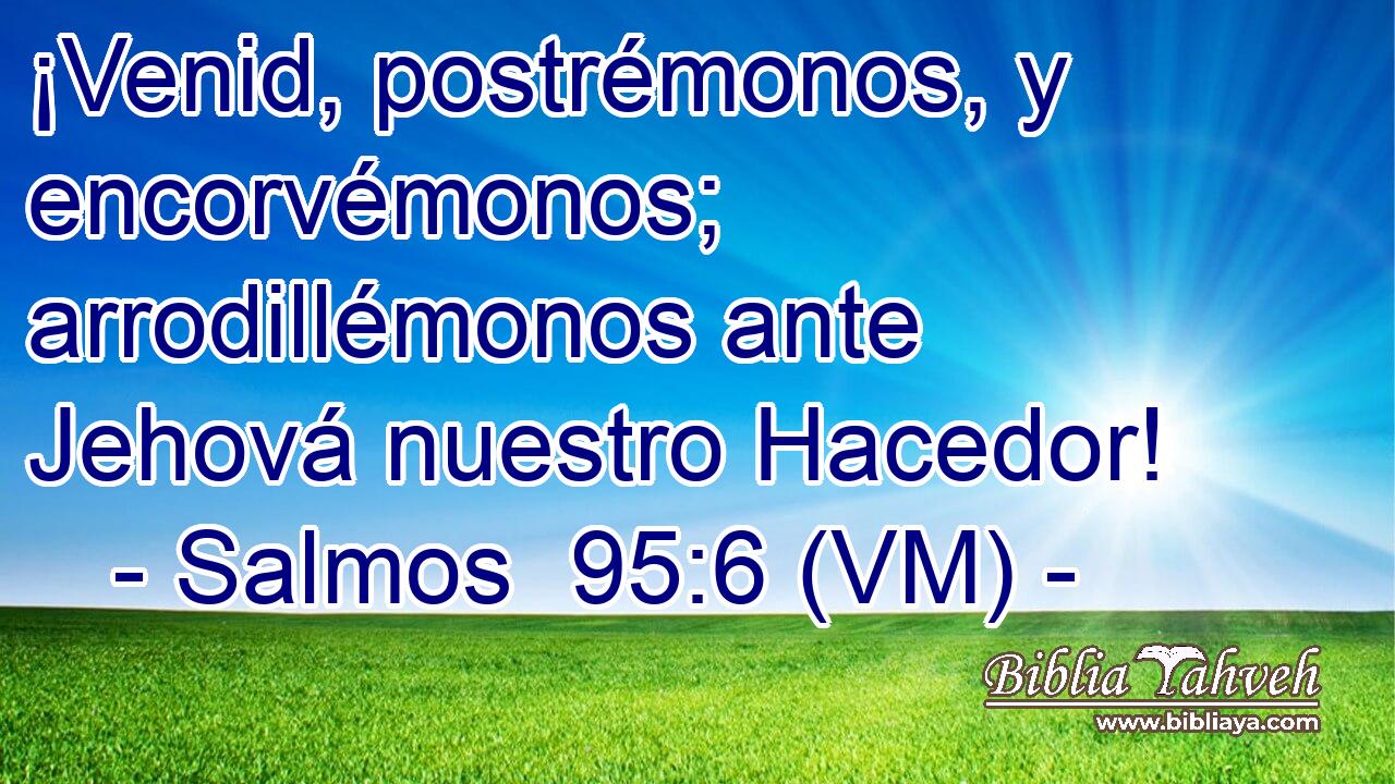  ¡Venid, postrémonos, y encorvémonos; arrodillémonos ante Jehová nuestro Hacedor! 