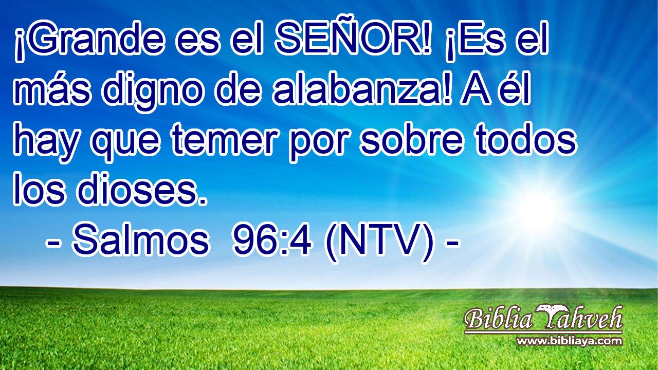 ¡Grande es el SEÑOR! ¡Es el más digno de alabanza! A él hay que temer por sobre todos los dioses.