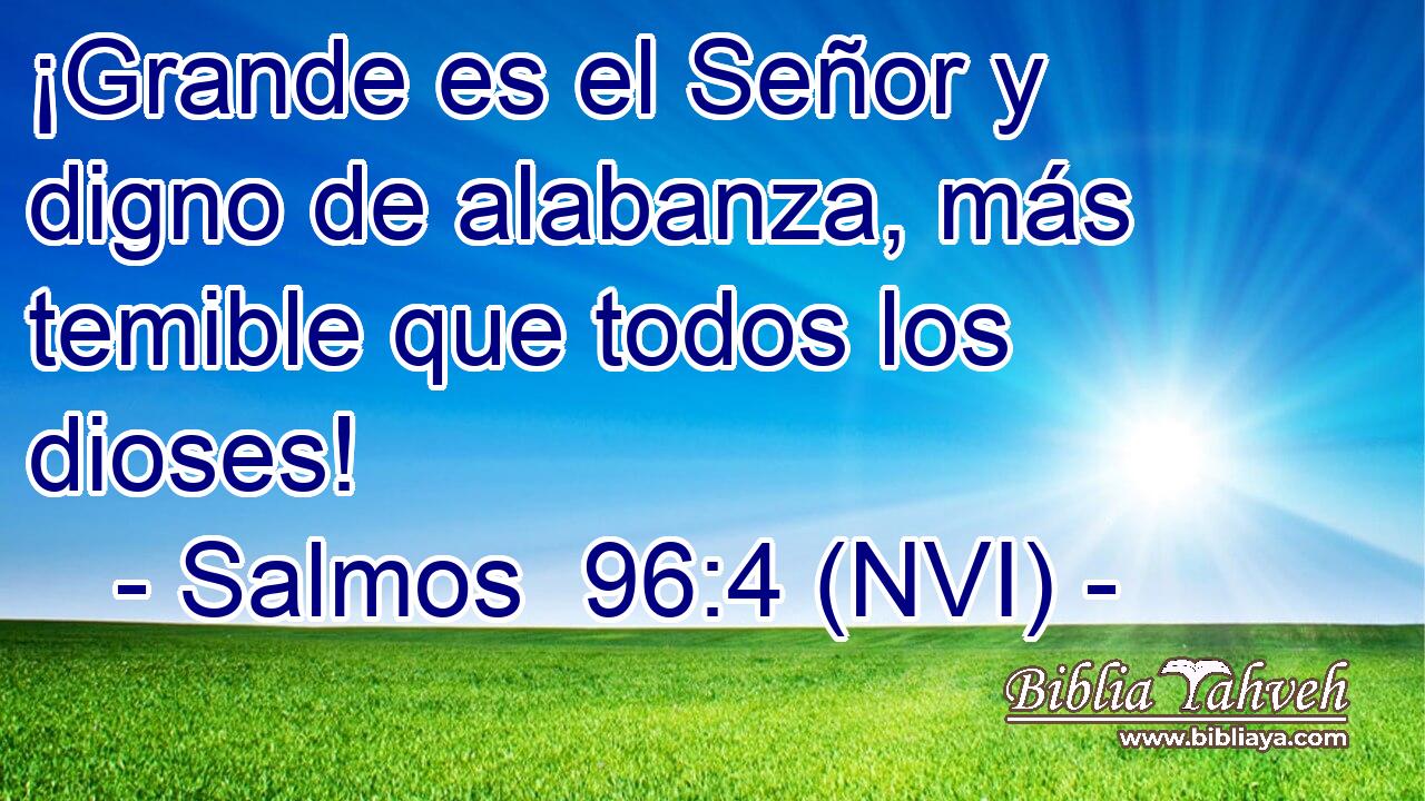  ¡Grande es el Señor y digno de alabanza, más temible que todos los dioses! 