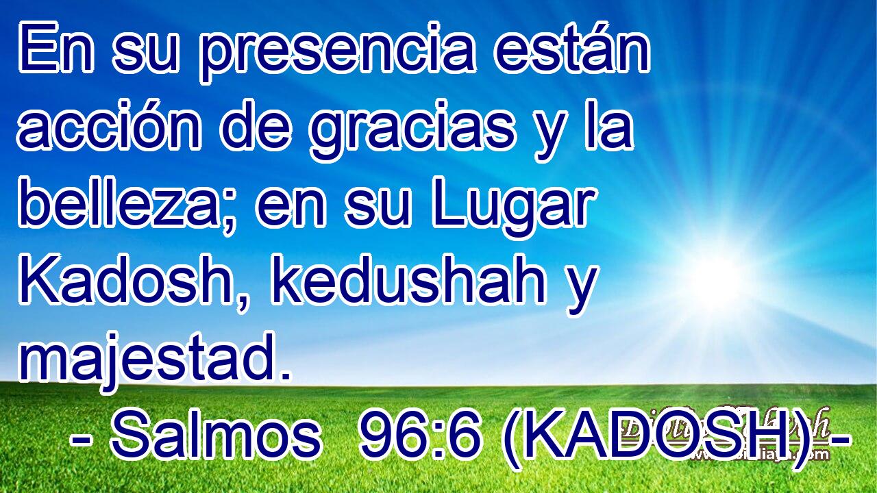  En su presencia están acción de gracias y la belleza; en su Lugar Kadosh, kedushah y majestad. 