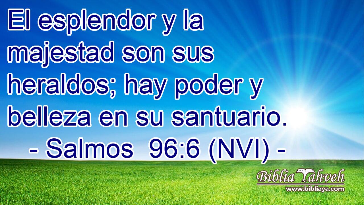  El esplendor y la majestad son sus heraldos; hay poder y belleza en su santuario. 