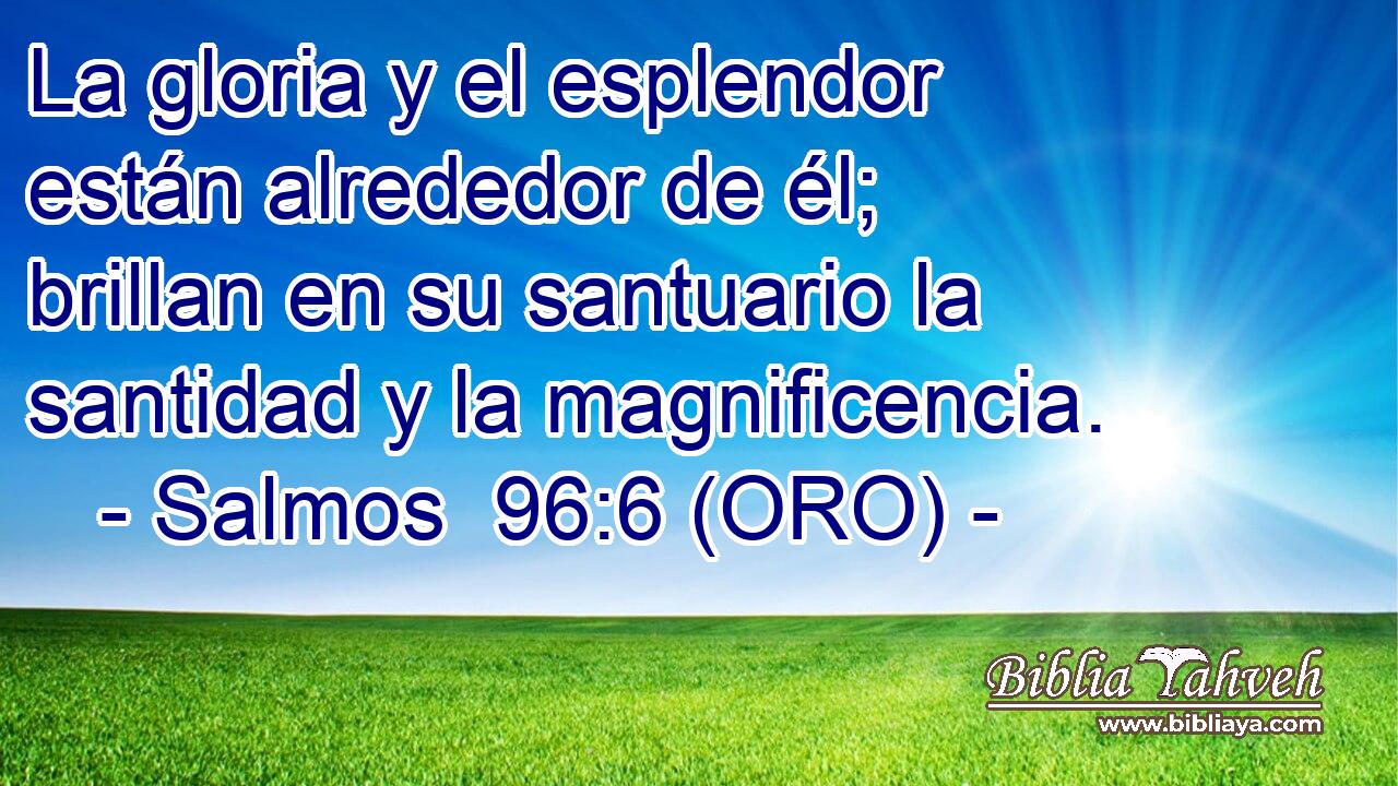  La gloria y el esplendor están alrededor de él; brillan en su santuario la santidad y la magnificencia. 