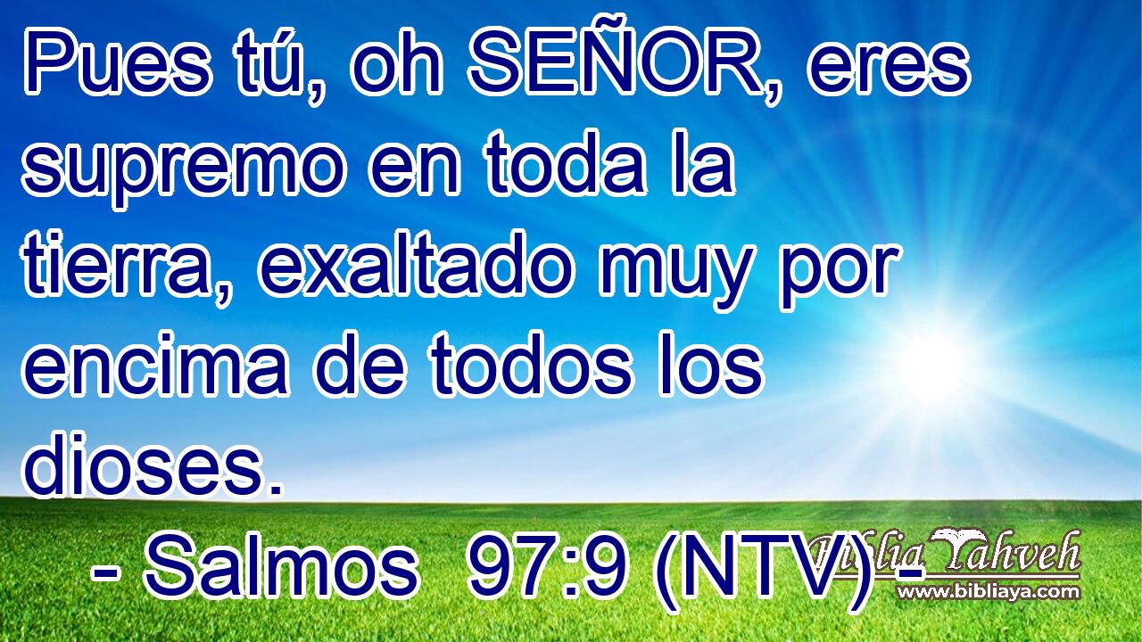 Pues tú, oh SEÑOR, eres supremo en toda la tierra, exaltado muy por encima de todos los dioses.
