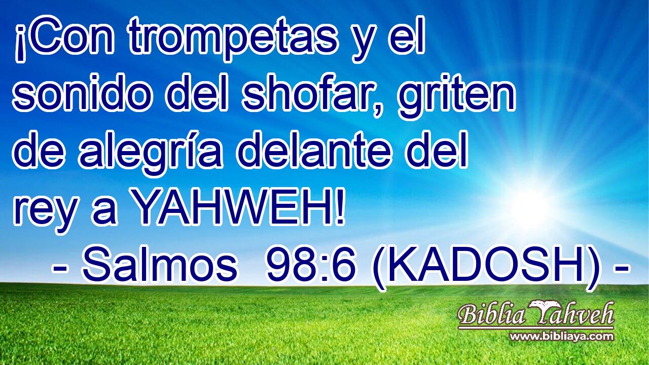  ¡Con trompetas y el sonido del shofar, griten de alegría delante del rey a YAHWEH! 