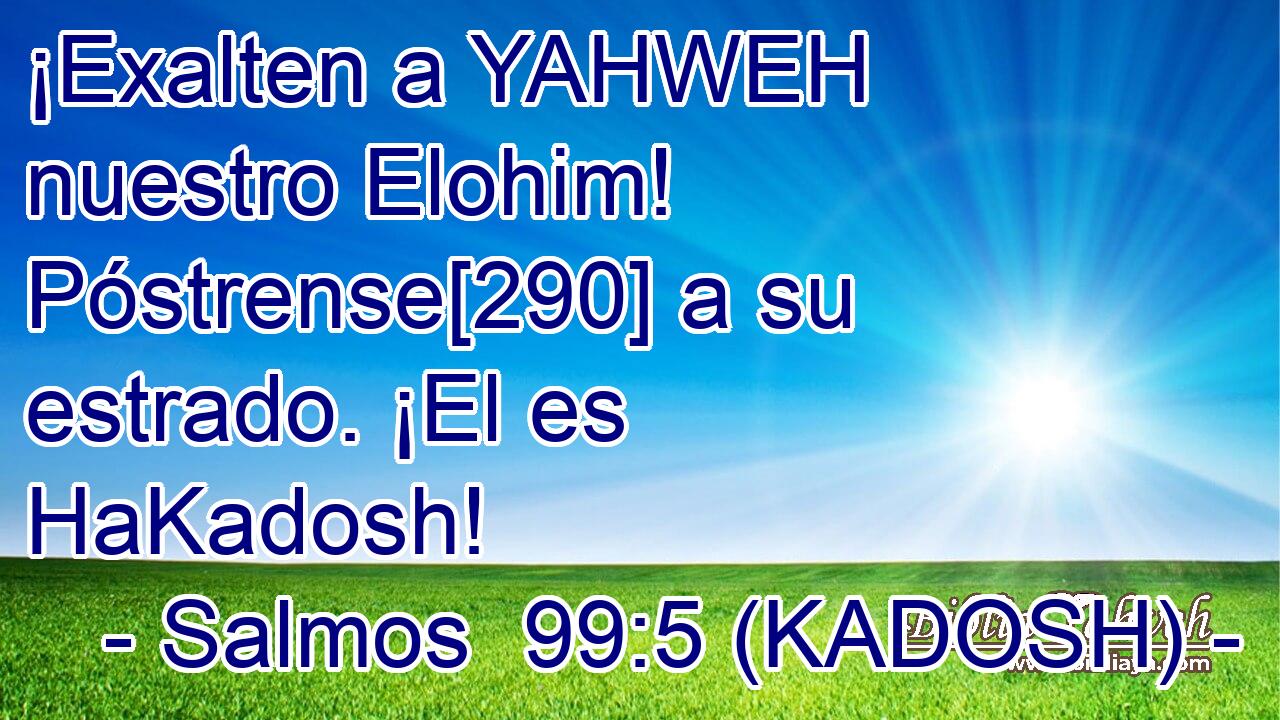  ¡Exalten a YAHWEH nuestro Elohim! Póstrense[290] a su estrado. ¡El es HaKadosh! 