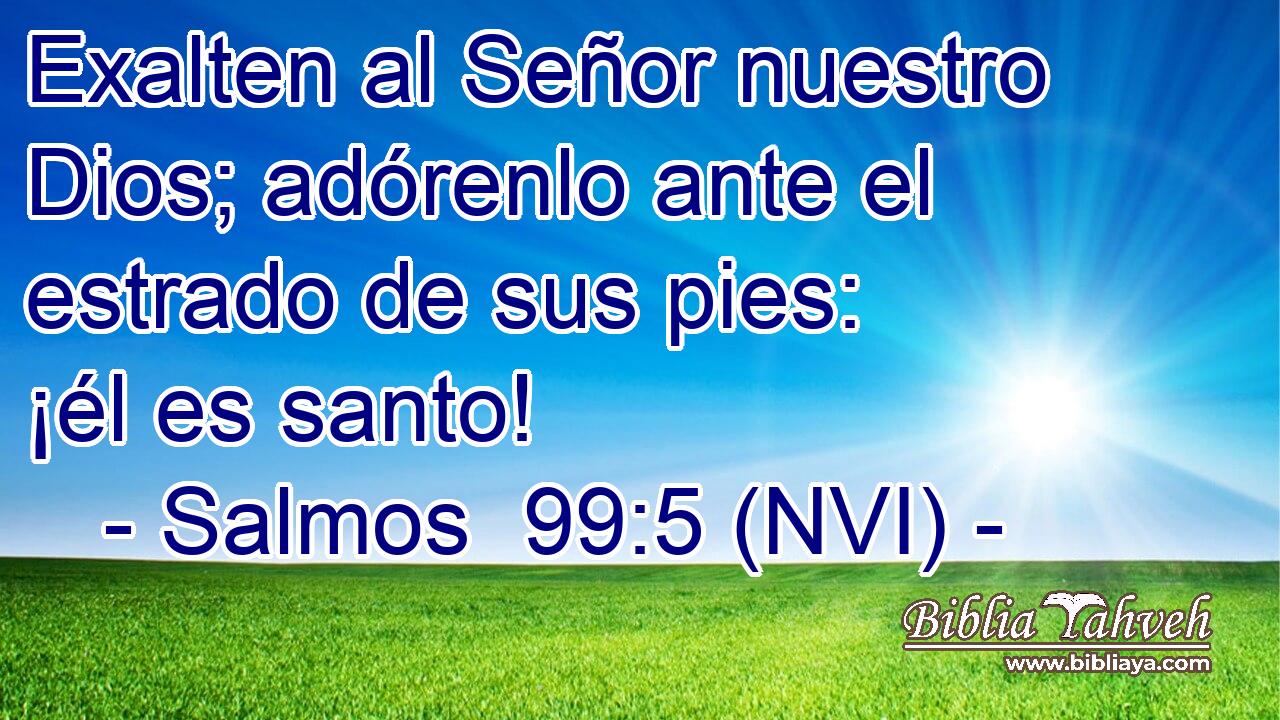  Exalten al Señor nuestro Dios; adórenlo ante el estrado de sus pies: ¡él es santo! 