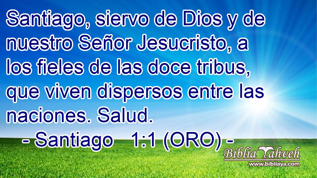  Santiago, siervo de Dios y de nuestro Señor Jesucristo, a los fieles de las doce tribus, que viven dispersos entre las naciones. Salud. 