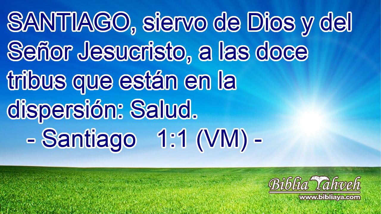  SANTIAGO, siervo de Dios y del Señor Jesucristo, a las doce tribus que están en la dispersión: Salud. 