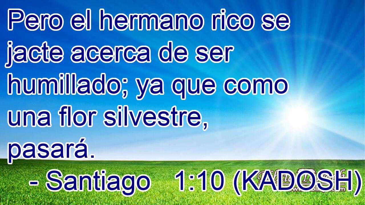  Pero el hermano rico se jacte acerca de ser humillado; ya que como una flor silvestre, pasará. 