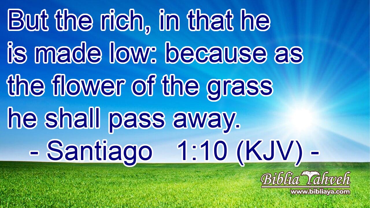 But the rich, in that he is made low: because as the flower of the grass he shall pass away.