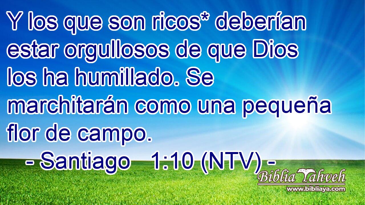 Y los que son ricos* deberían estar orgullosos de que Dios los ha humillado. Se marchitarán como una pequeña flor de campo.