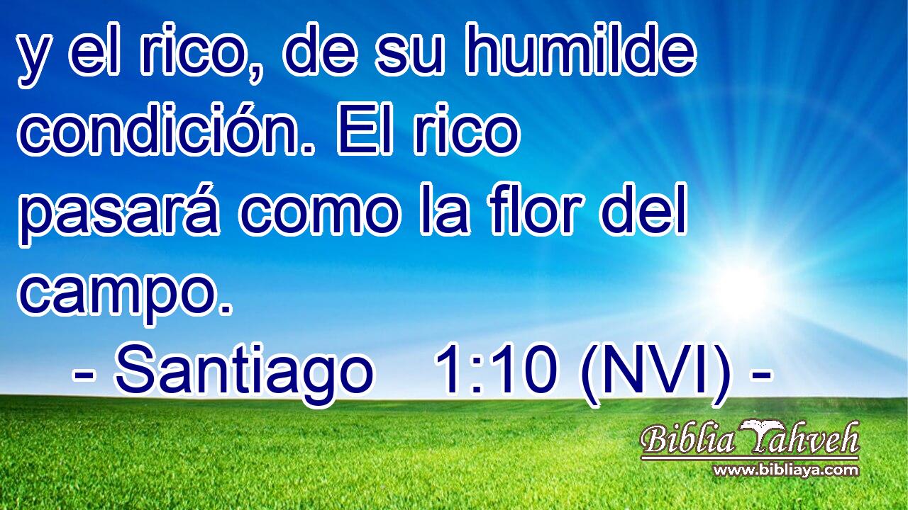  y el rico, de su humilde condición. El rico pasará como la flor del campo. 