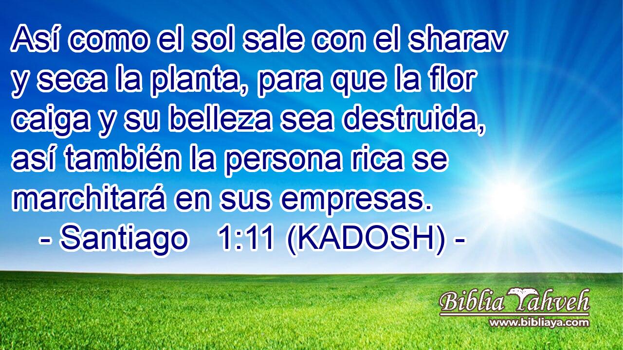  Así como el sol sale con el sharav y seca la planta, para que la flor caiga y su belleza sea destruida, así también la persona rica se marchitará en sus empresas. 
