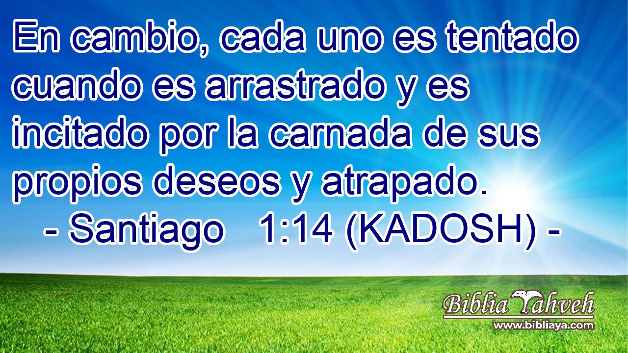  En cambio, cada uno es tentado cuando es arrastrado y es incitado por la carnada de sus propios deseos y atrapado. 