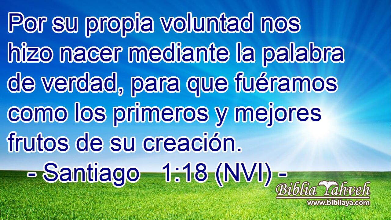  Por su propia voluntad nos hizo nacer mediante la palabra de verdad, para que fuéramos como los primeros y mejores frutos de su creación. 