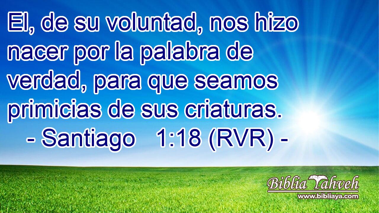 El, de su voluntad, nos hizo nacer por la palabra de verdad, para que seamos primicias de sus criaturas.