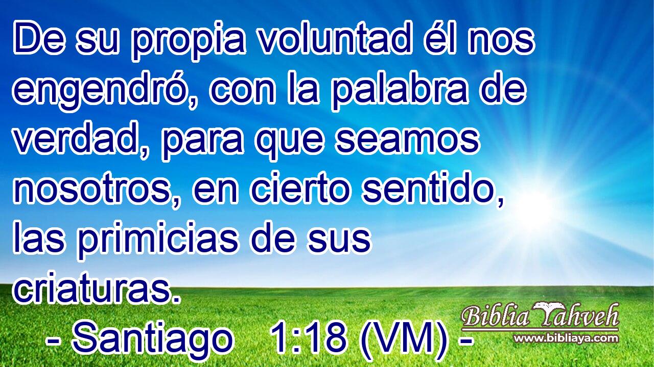 De su propia voluntad él nos engendró, con la palabra de verdad, para que seamos nosotros, en cierto sentido, las primicias de sus criaturas. 