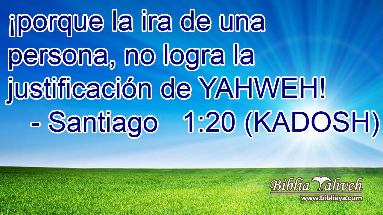  ¡porque la ira de una persona, no logra la justificación de YAHWEH! 
