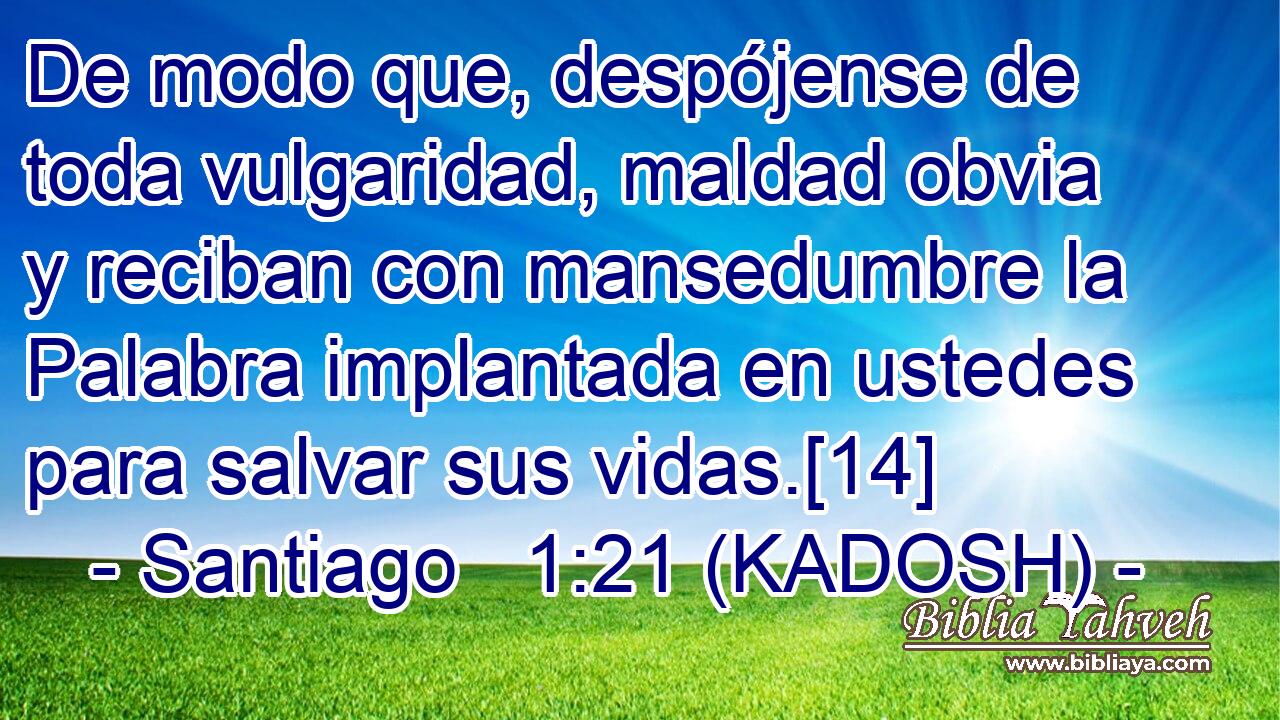  De modo que, despójense de toda vulgaridad, maldad obvia y reciban con mansedumbre la Palabra implantada en ustedes para salvar sus vidas.[14] 
