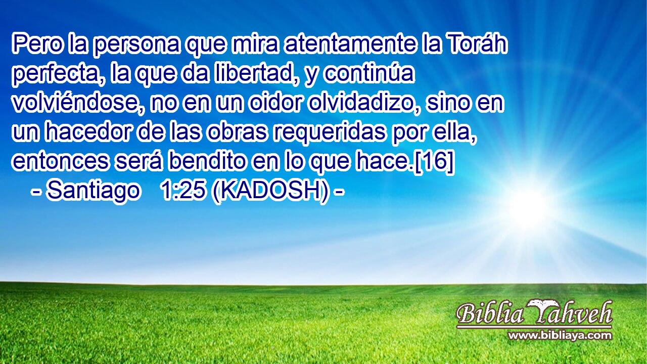 Pero la persona que mira atentamente la Toráh perfecta, la que da libertad, y continúa volviéndose, no en un oidor olvidadizo, sino en un hacedor de las obras requeridas por ella, entonces será bendito en lo que hace.[16] 