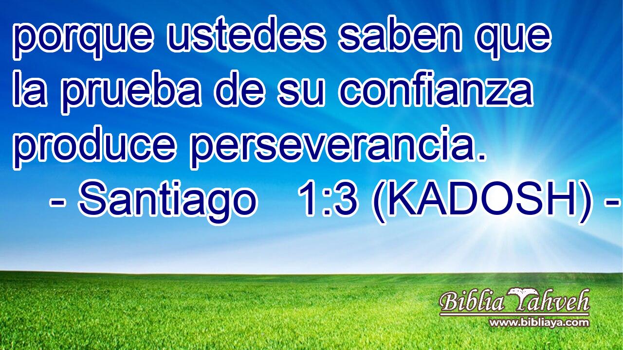  porque ustedes saben que la prueba de su confianza produce perseverancia. 