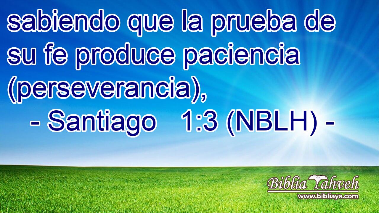  sabiendo que la prueba de su fe produce paciencia (perseverancia), 