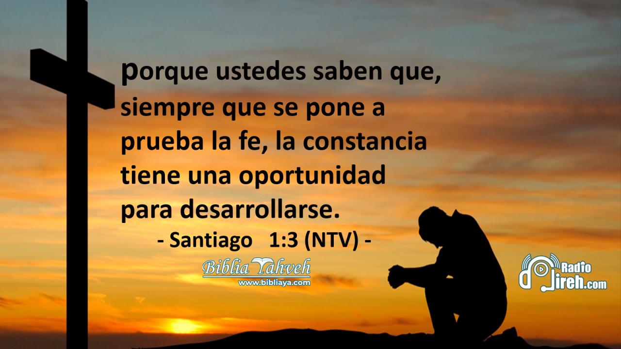 porque ustedes saben que, siempre que se pone a prueba la fe, la constancia tiene una oportunidad para desarrollarse.