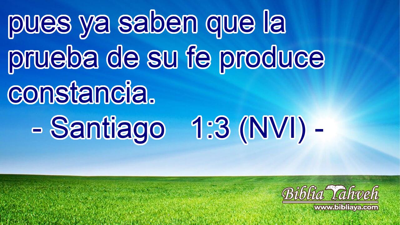  pues ya saben que la prueba de su fe produce constancia. 