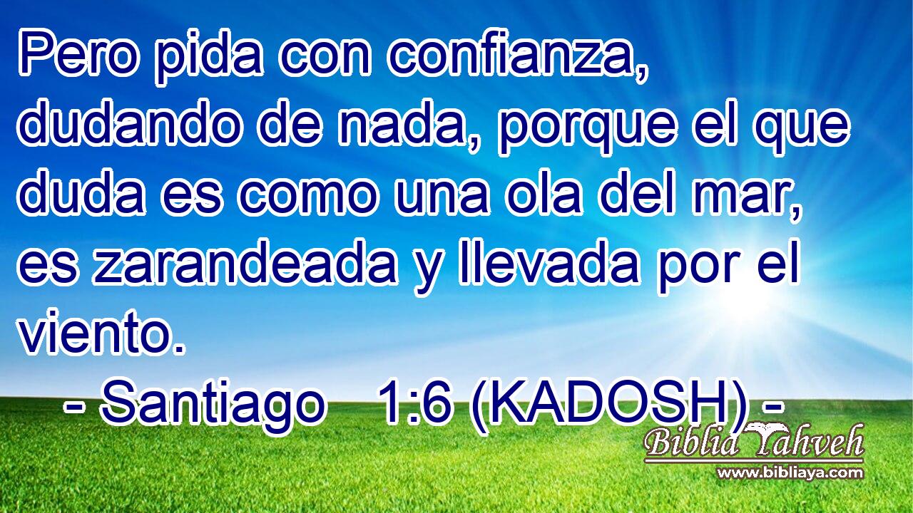  Pero pida con confianza, dudando de nada, porque el que duda es como una ola del mar, es zarandeada y llevada por el viento. 