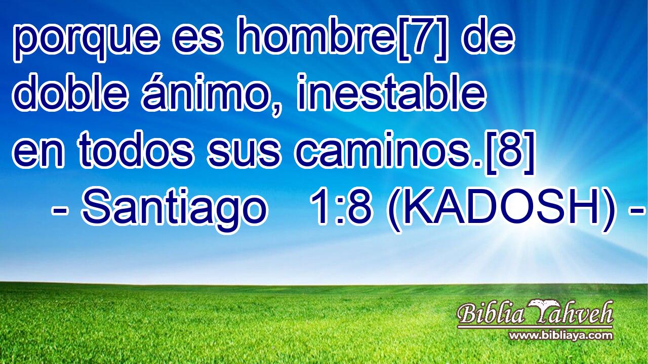  porque es hombre[7] de doble ánimo, inestable en todos sus caminos.[8] 