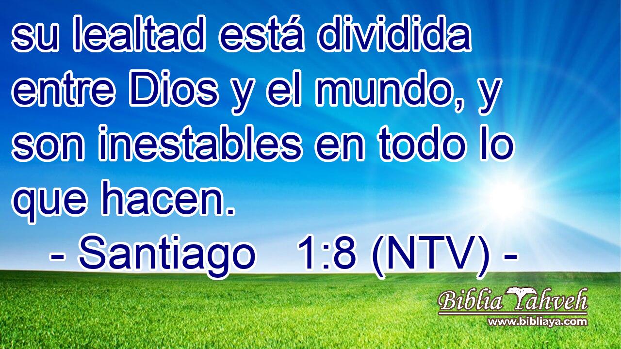 su lealtad está dividida entre Dios y el mundo, y son inestables en todo lo que hacen.