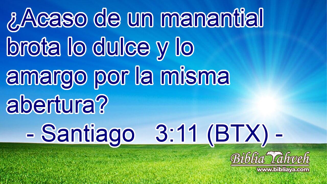 ¿Acaso de un manantial brota lo dulce y lo amargo por la misma abertura?