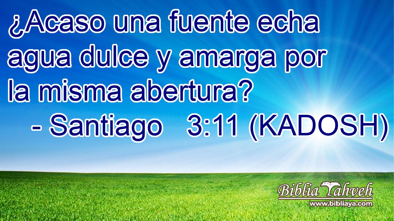  ¿Acaso una fuente echa agua dulce y amarga por la misma abertura? 