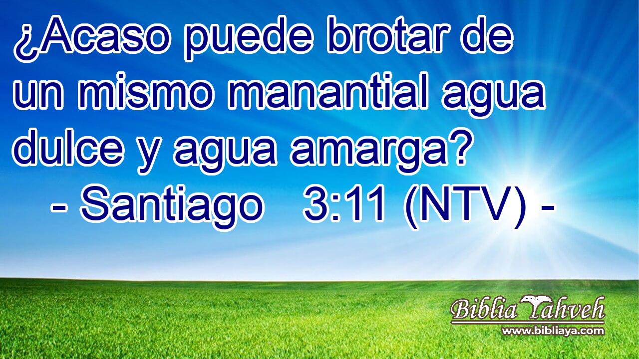 ¿Acaso puede brotar de un mismo manantial agua dulce y agua amarga?