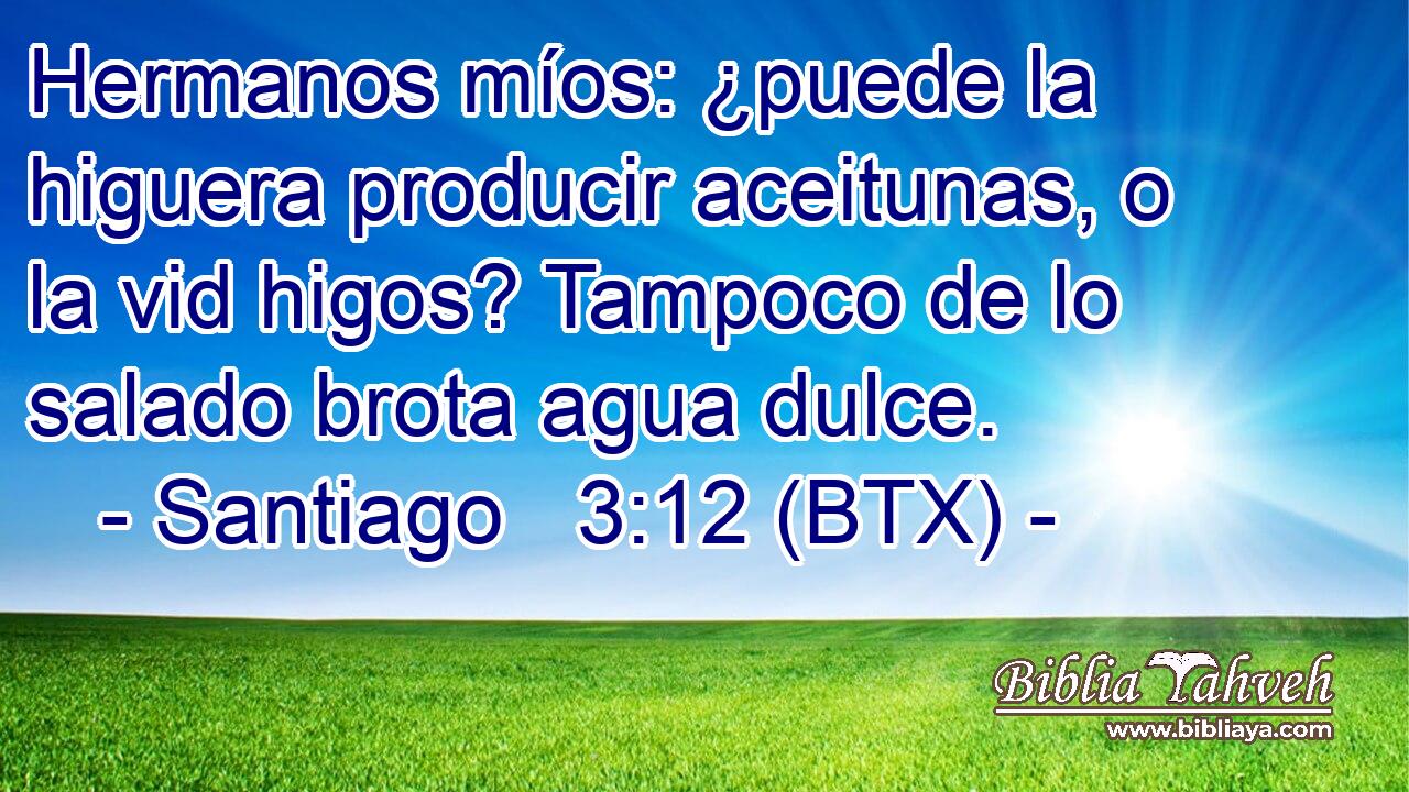 Hermanos míos: ¿puede la higuera producir aceitunas, o la vid higos? Tampoco de lo salado brota agua dulce.