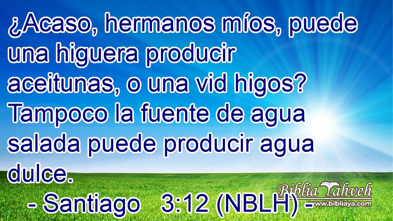  ¿Acaso, hermanos míos, puede una higuera producir aceitunas, o una vid higos? Tampoco la fuente de agua salada puede producir agua dulce. 