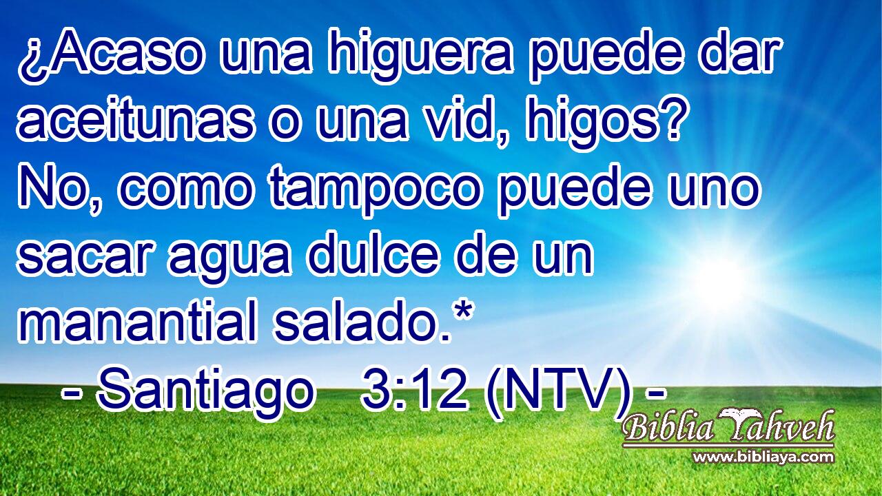¿Acaso una higuera puede dar aceitunas o una vid, higos? No, como tampoco puede uno sacar agua dulce de un manantial salado.*