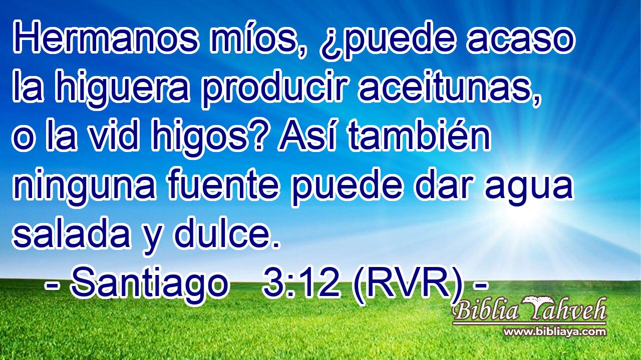 Hermanos míos, ¿puede acaso la higuera producir aceitunas, o la vid higos? Así también ninguna fuente puede dar agua salada y dulce.