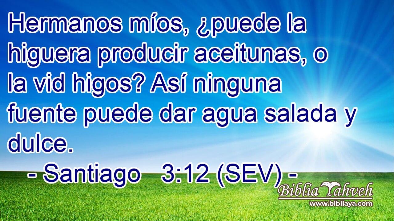 Hermanos míos, ¿puede la higuera producir aceitunas, o la vid higos? Así ninguna fuente puede dar agua salada y dulce.