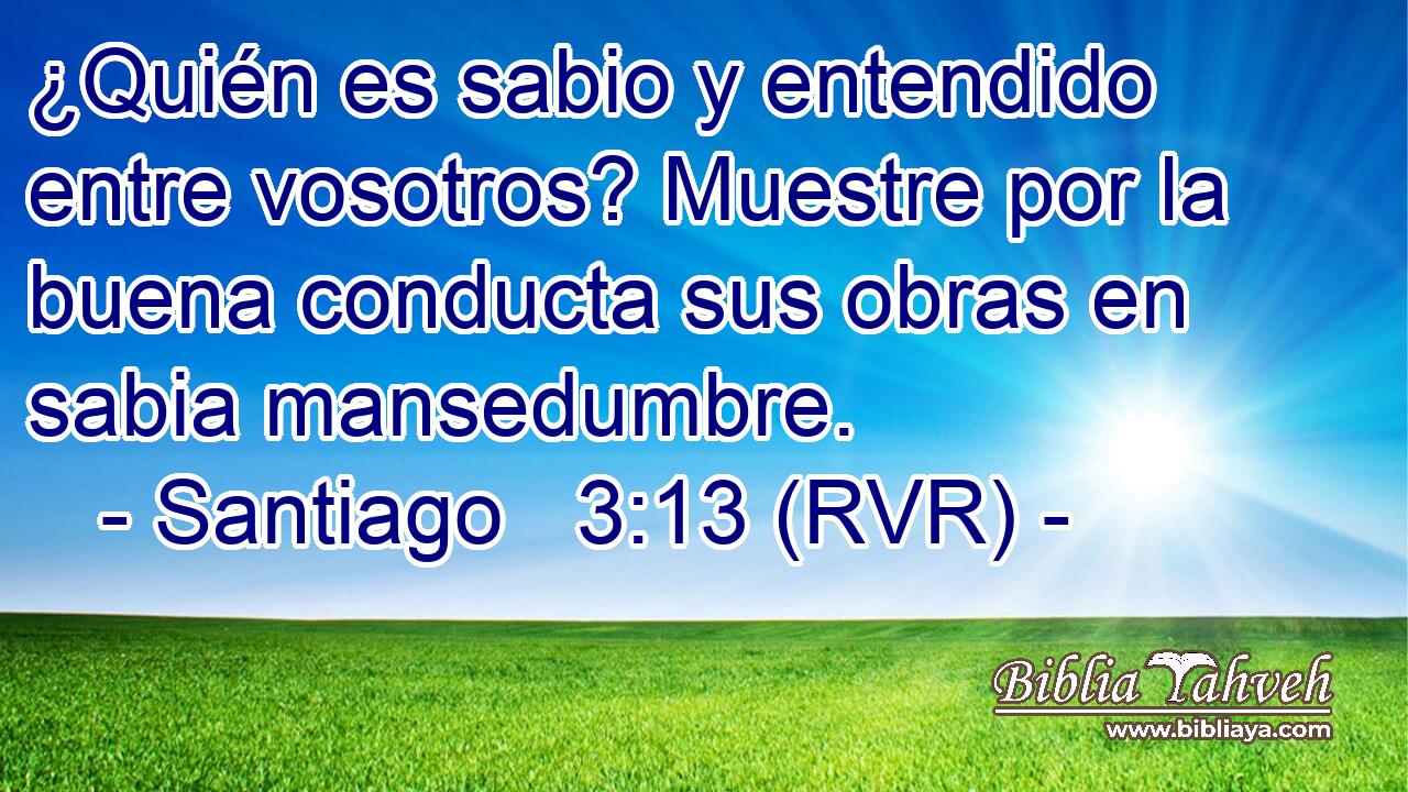 ¿Quién es sabio y entendido entre vosotros? Muestre por la buena conducta sus obras en sabia mansedumbre.