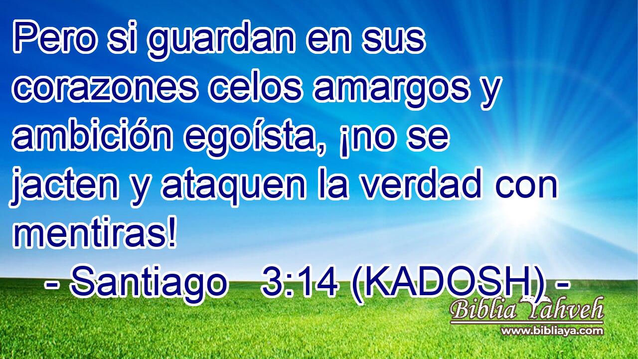  Pero si guardan en sus corazones celos amargos y ambición egoísta, ¡no se jacten y ataquen la verdad con mentiras! 