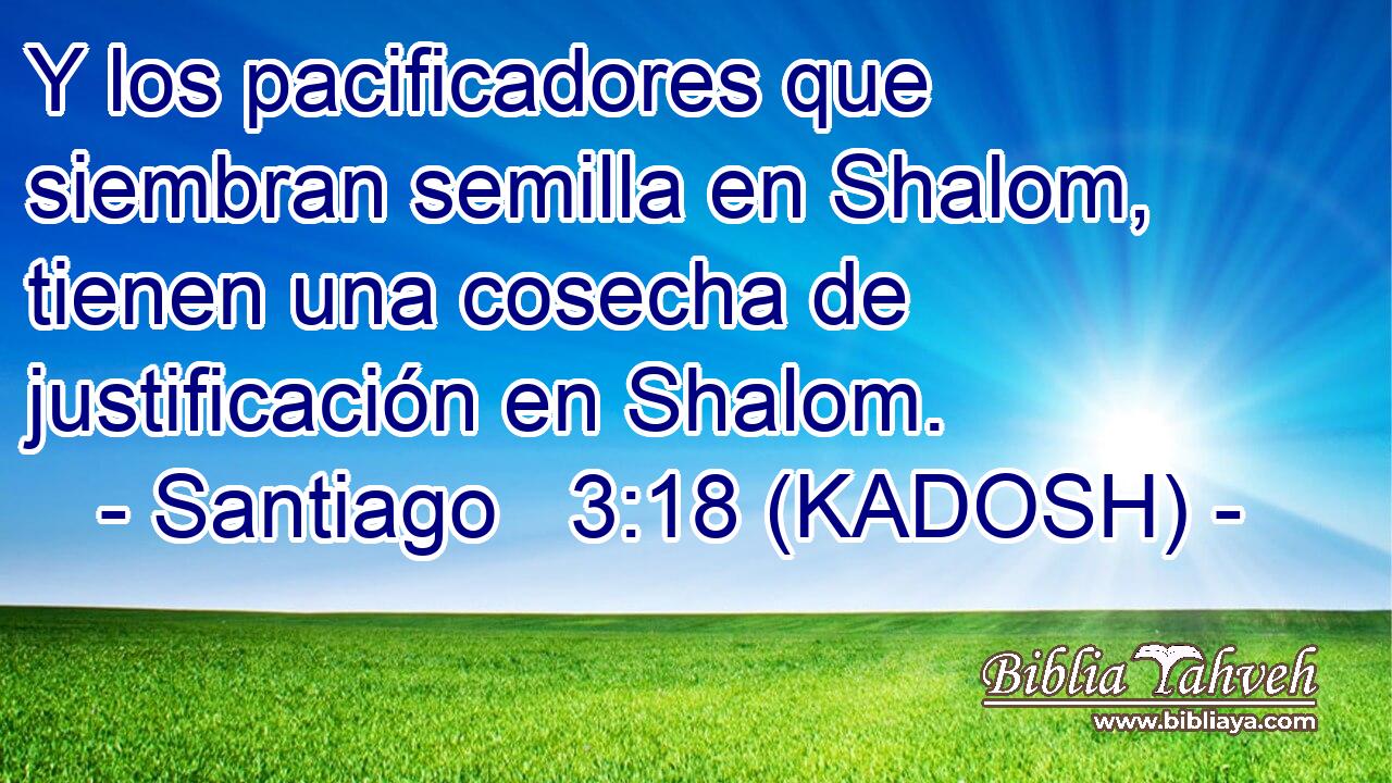  Y los pacificadores que siembran semilla en Shalom, tienen una cosecha de justificación en Shalom. 