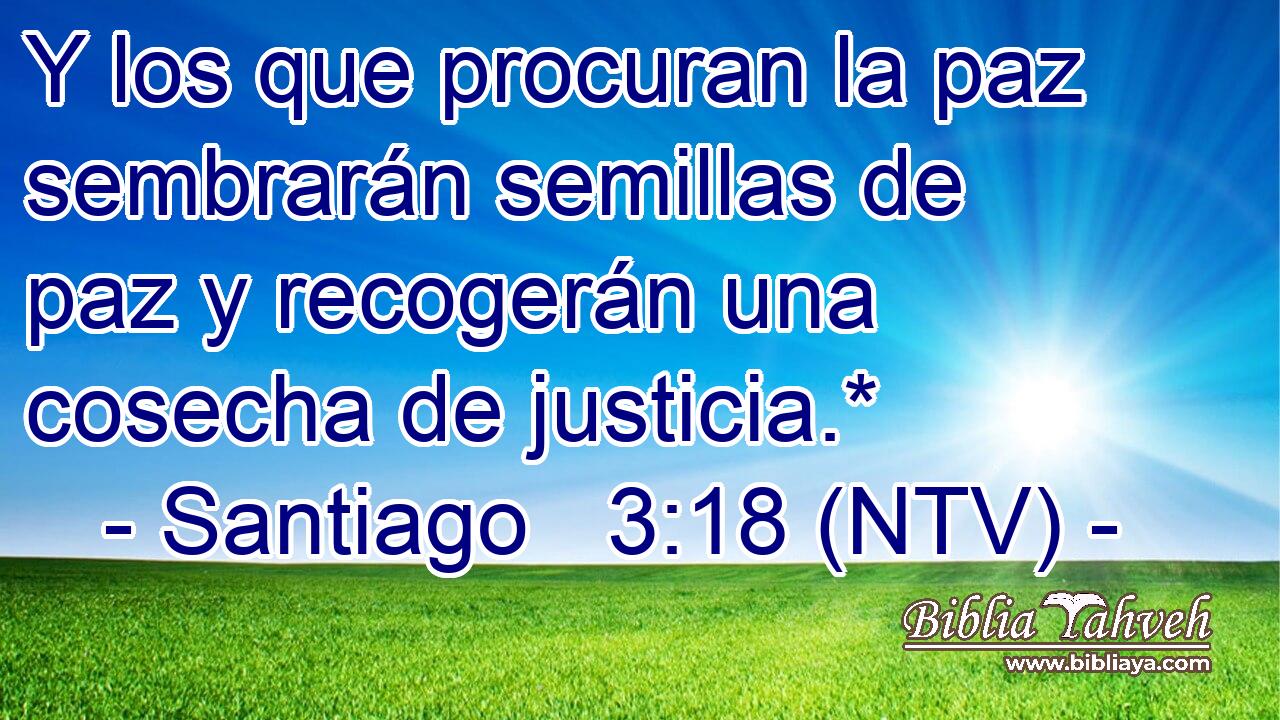 Y los que procuran la paz sembrarán semillas de paz y recogerán una cosecha de justicia.*
