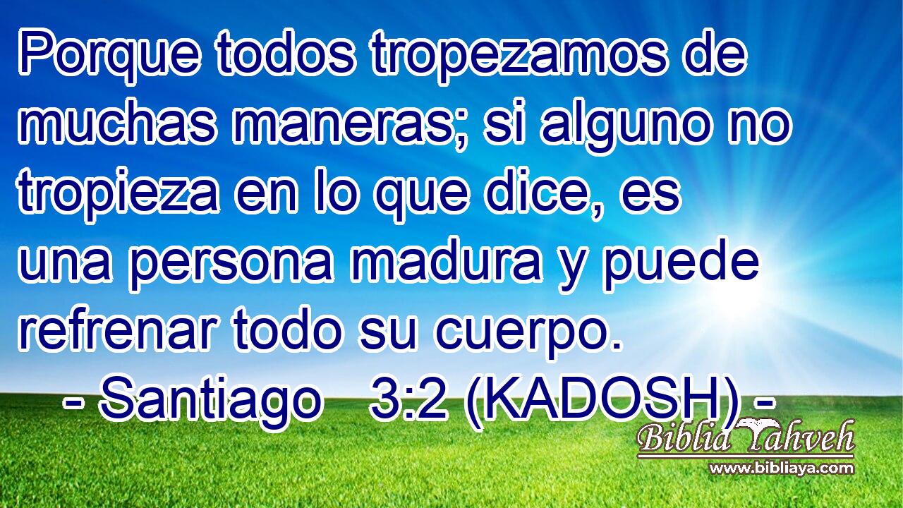  Porque todos tropezamos de muchas maneras; si alguno no tropieza en lo que dice, es una persona madura y puede refrenar todo su cuerpo. 