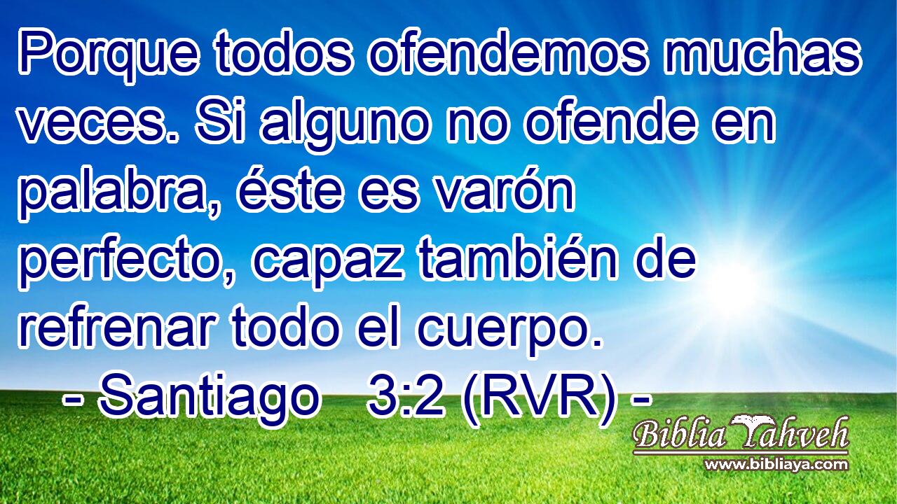 Porque todos ofendemos muchas veces. Si alguno no ofende en palabra, éste es varón perfecto, capaz también de refrenar todo el cuerpo.