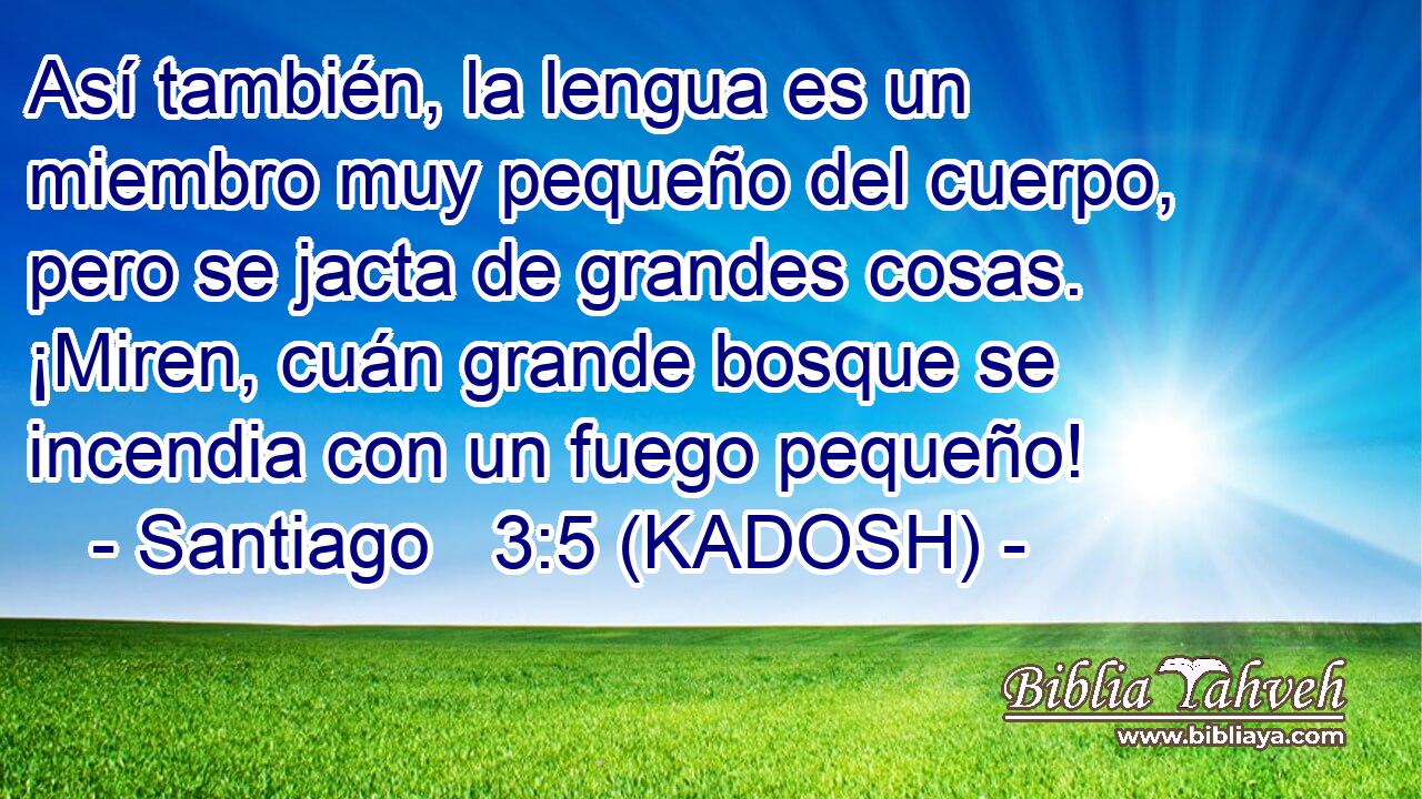  Así también, la lengua es un miembro muy pequeño del cuerpo, pero se jacta de grandes cosas. ¡Miren, cuán grande bosque se incendia con un fuego pequeño! 