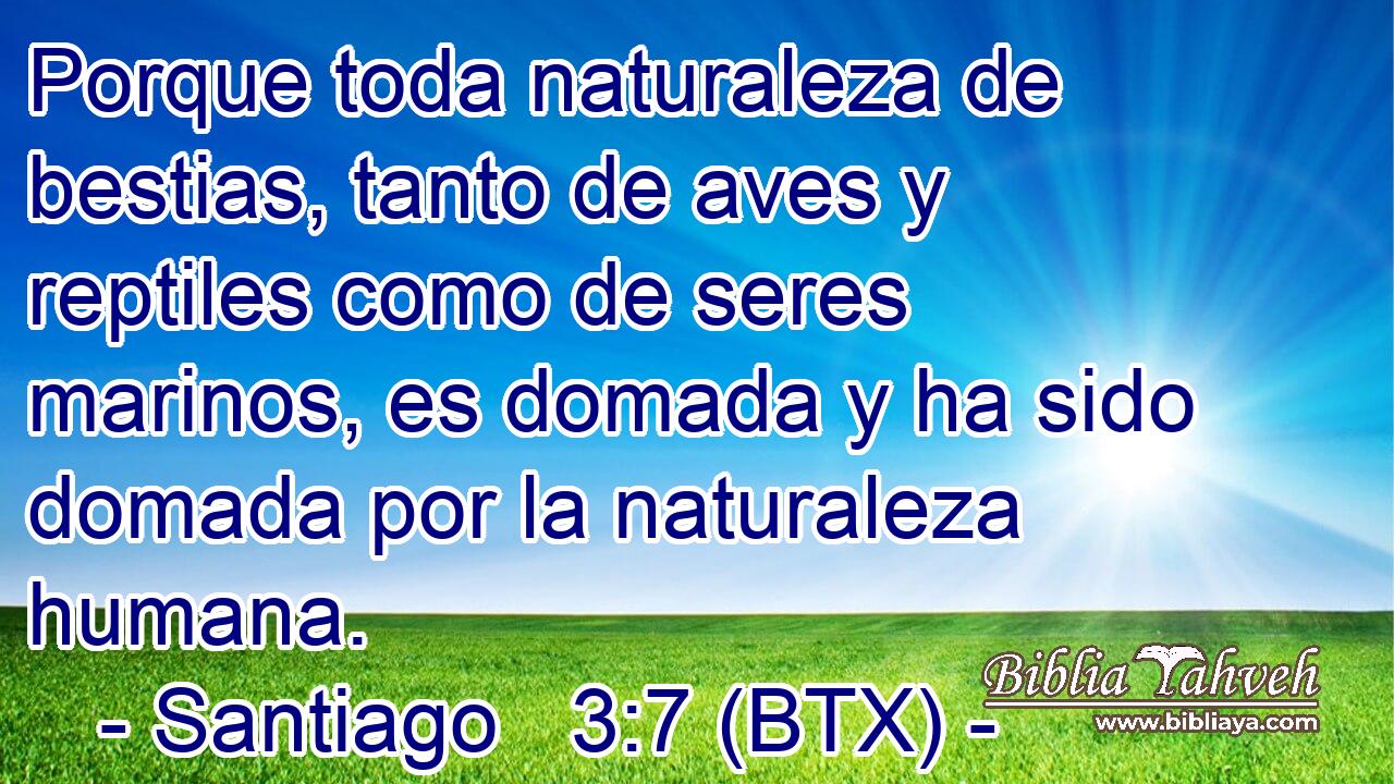 Porque toda naturaleza de bestias, tanto de aves y reptiles como de seres marinos, es domada y ha sido domada por la naturaleza humana.