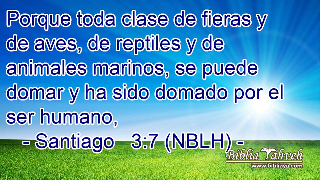 Porque toda clase de fieras y de aves, de reptiles y de animales marinos, se puede domar y ha sido domado por el ser humano, 